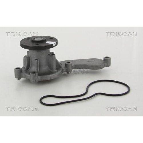 TRISCAN Wasserpumpe, Motork&uuml;hlung 8600 40118