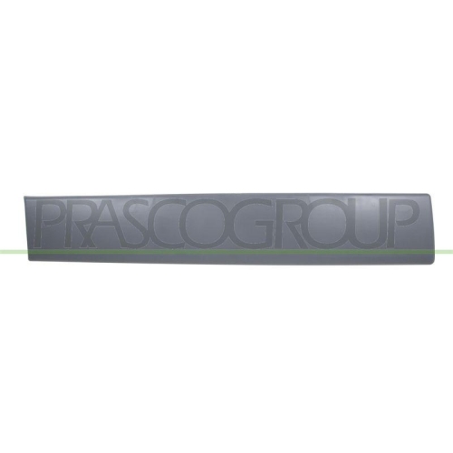 PRASCO Zier-/Schutzleiste, T&uuml;r DS9521453