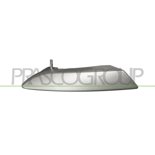PRASCO T&uuml;rgriff, Innenausstattung FT3428807