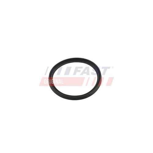 FAST Dichtring, Ladeluftschlauch FT49854