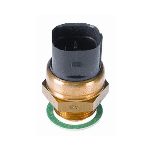 BorgWarner (Wahler) Temperaturschalter, Kühlerlüfter 6039.95D