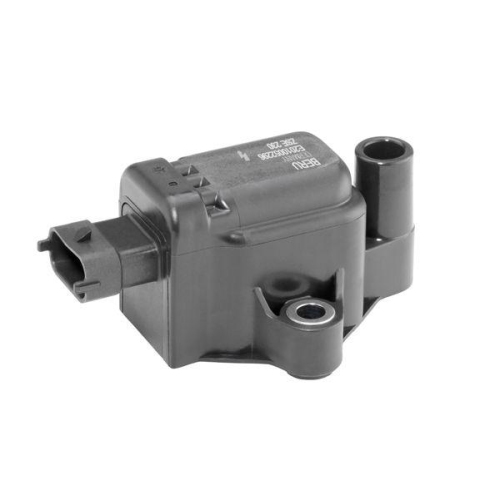 BorgWarner (BERU) Z&uuml;ndspule ZSE230