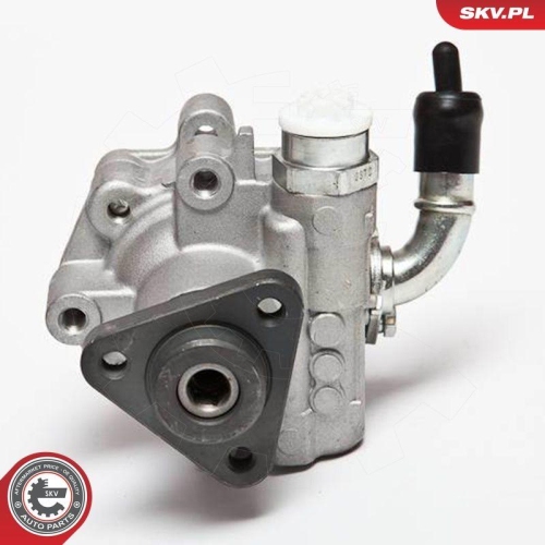 ESEN SKV Hydraulikpumpe, Lenkung 10SKV075