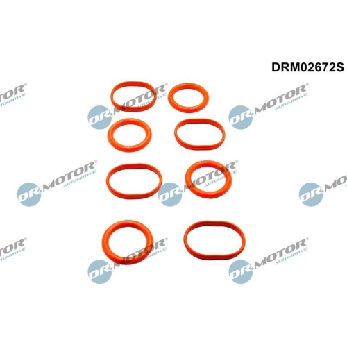 Dr.Motor Automotive Dichtungssatz, Ansaugkr&uuml;mmer DRM02672S