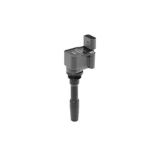 BorgWarner (BERU) Z&uuml;ndspule ZSE231
