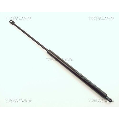 TRISCAN Gasfeder, Koffer-/Laderaum 8710 1107