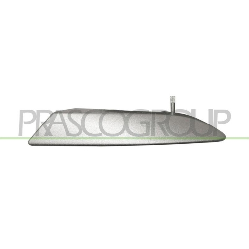 PRASCO T&uuml;rgriff, Innenausstattung FT3428808