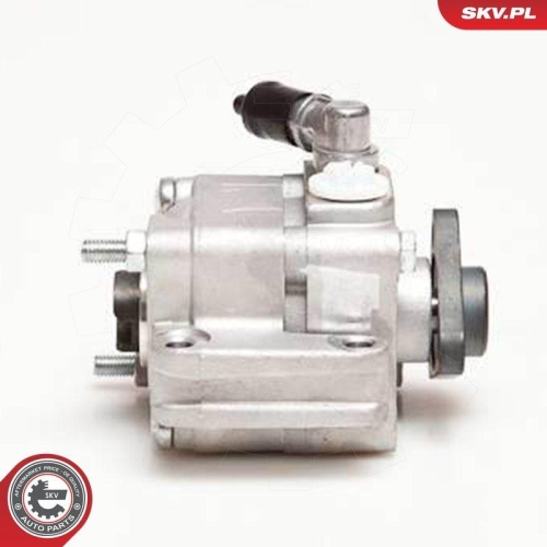 ESEN SKV Hydraulikpumpe, Lenkung 10SKV088