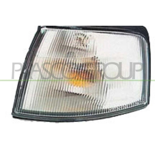 PRASCO Blinkleuchte TYC MZ7154013