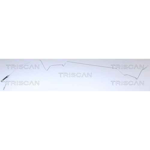 TRISCAN Bremsschlauch 8150 25231