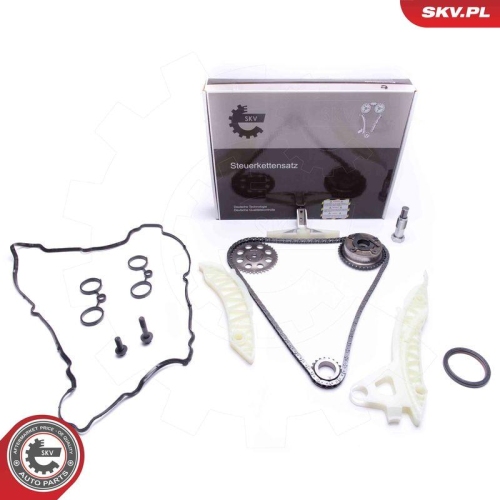 ESEN SKV Steuerkettensatz