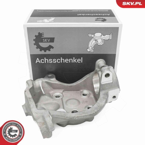 ESEN SKV Achsschenkel, Radaufhängung