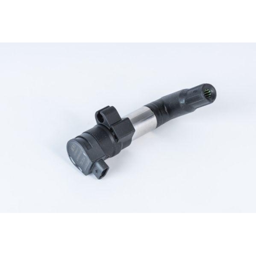 BorgWarner (BERU) Z&uuml;ndspule ZSE254
