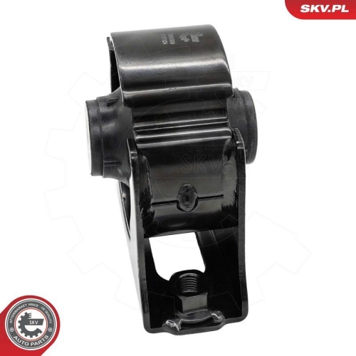 ESEN SKV Lagerung, Motor 75SKV309