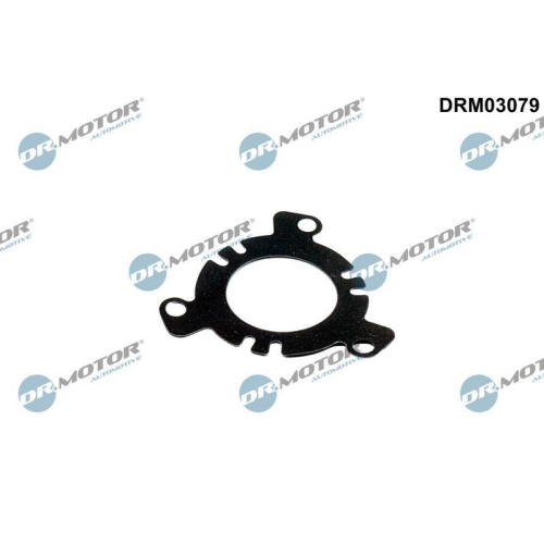 Dr.Motor Automotive Dichtung, Einspritzpumpe DRM03079