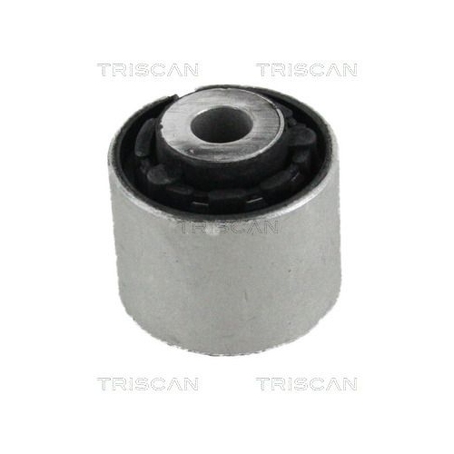 TRISCAN Lagerung, Lenker 8500 11896