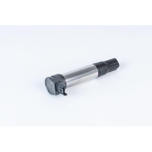 BorgWarner (BERU) Z&uuml;ndspule ZSE255