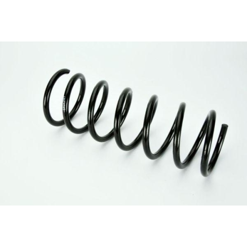 Magnum Technology Fahrwerksfeder SF042MT