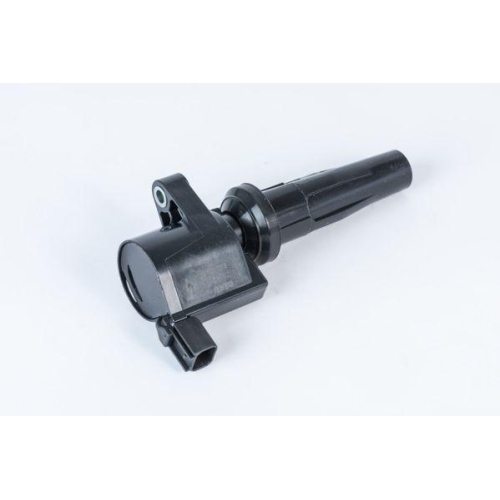 BorgWarner (BERU) Z&uuml;ndspule ZS592