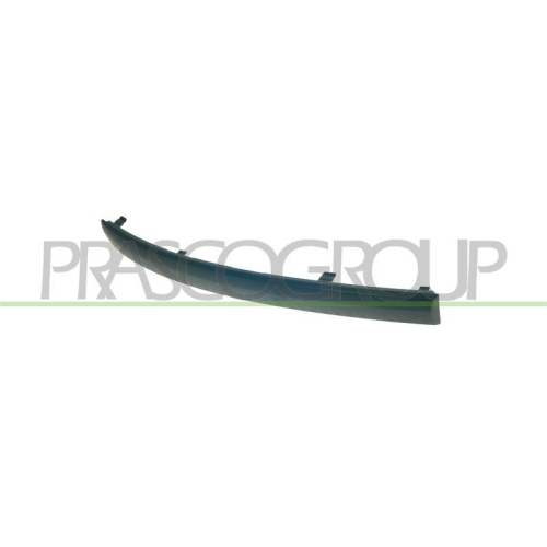 PRASCO Zier-/Schutzleiste, Sto&szlig;f&auml;nger PremiumCertified BM1201243