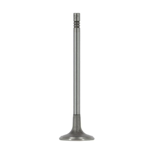 AE Einlassventil V95256