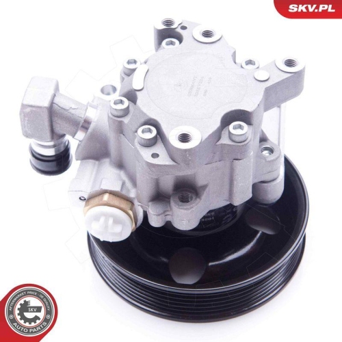 ESEN SKV Hydraulikpumpe, Lenkung 10SKV124