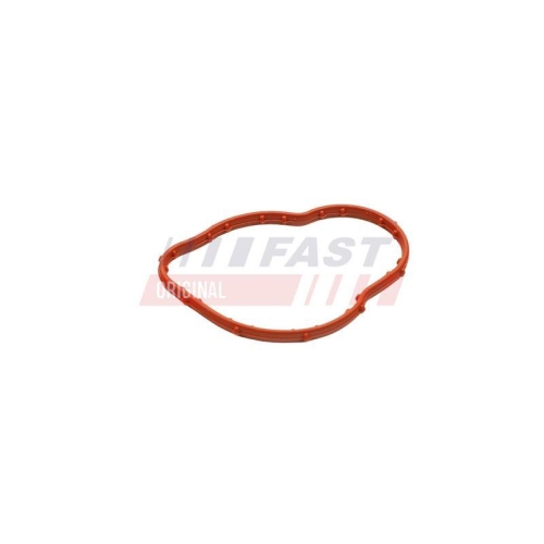FAST Dichtung, Thermostat FT58305