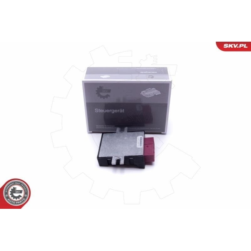ESEN SKV Steuergerät, Kraftstoffpumpe