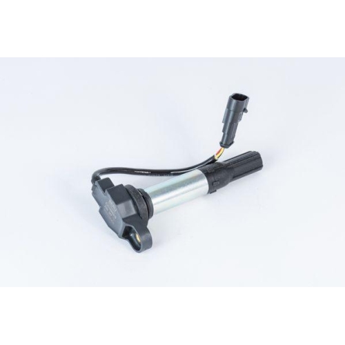 BorgWarner (BERU) Z&uuml;ndspule ZSE257