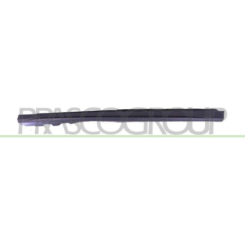 PRASCO Einstiegsleiste ME3341404