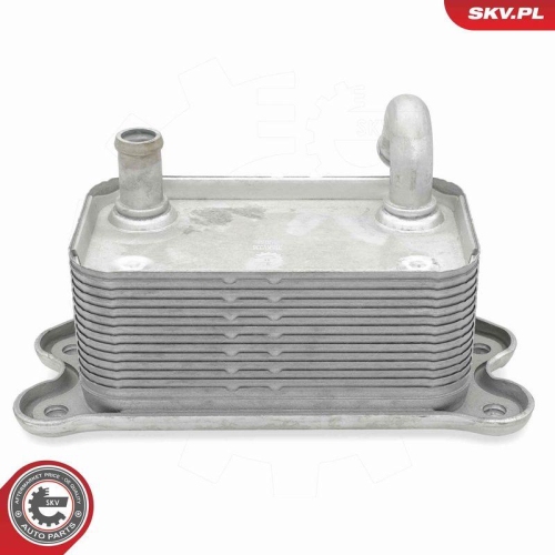 ESEN SKV &Ouml;lk&uuml;hler, Motor&ouml;l 31SKV336