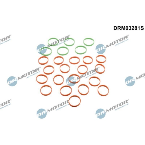 Dr.Motor Automotive Dichtungssatz, Ansaugkr&uuml;mmer DRM03281S