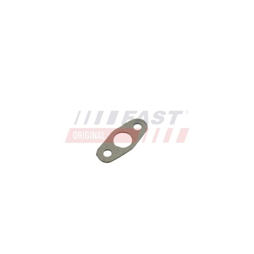 FAST Dichtung, &Ouml;leinlass (Lader) FT48801