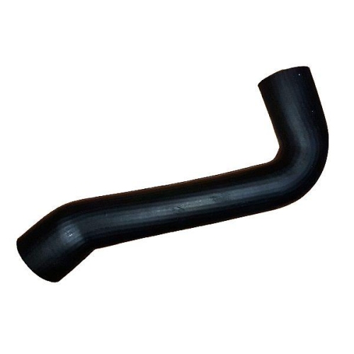 BUGIAD Ladeluftschlauch 88829