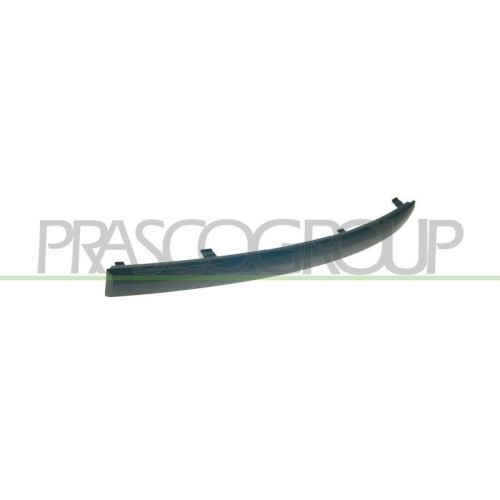 PRASCO Zier-/Schutzleiste, Sto&szlig;f&auml;nger PremiumCertified BM1201244