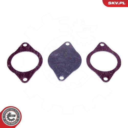 ESEN SKV Reparatursatz, AGR-Ventil 14SKV574