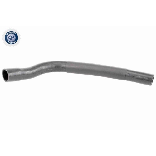 VAICO K&uuml;hlerschlauch Q+, Erstausr&uuml;sterqualit&auml;t V20-3333