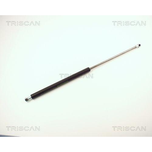 TRISCAN Gasfeder, Koffer-/Laderaum 8710 13251