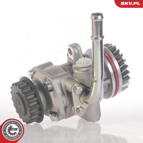 ESEN SKV Hydraulikpumpe, Lenkung 10SKV131