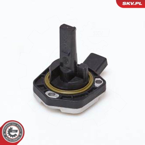 ESEN SKV Sensor, Motor&ouml;lstand 17SKV202