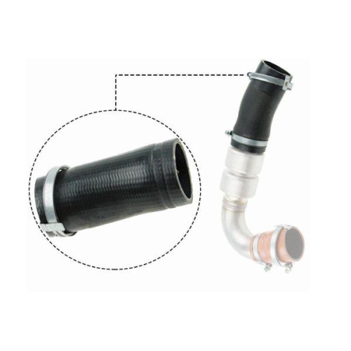 BUGIAD Ladeluftschlauch 88838