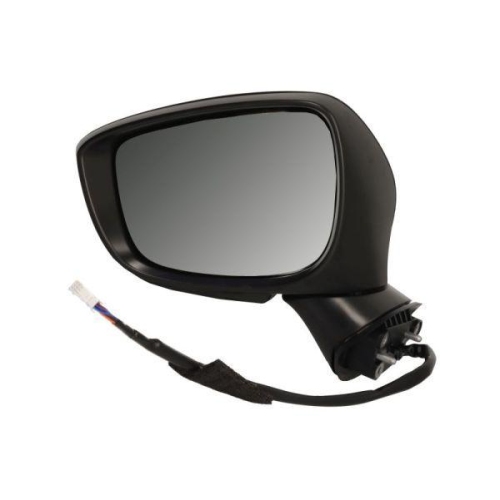 BLIC Au&szlig;enspiegel 5402-14-0770324P