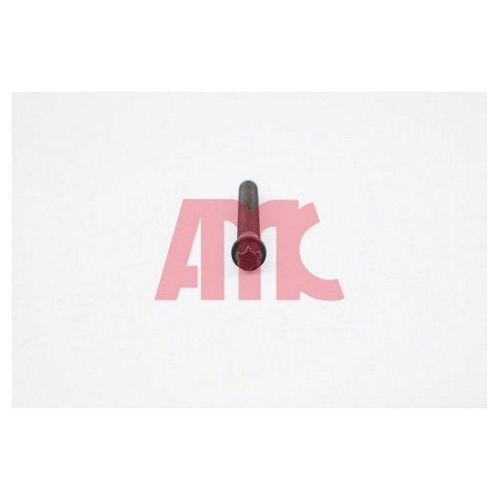 AMC Zylinderkopfschraubensatz 258095