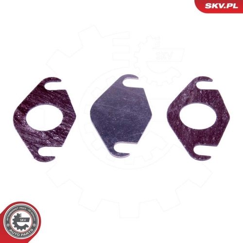 ESEN SKV Reparatursatz, AGR-Ventil 14SKV577