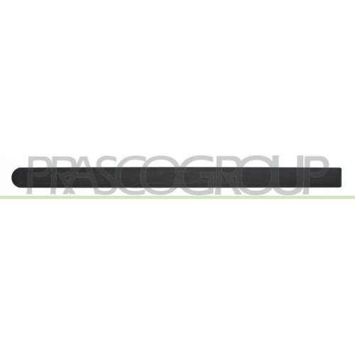 PRASCO Zier-/Schutzleiste, T&uuml;r OP0301454