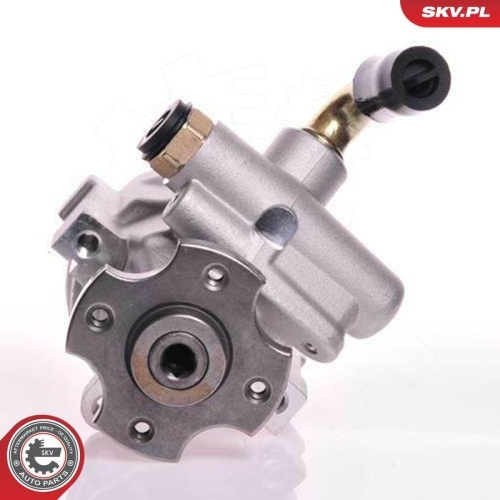 ESEN SKV Hydraulikpumpe, Lenkung 10SKV133