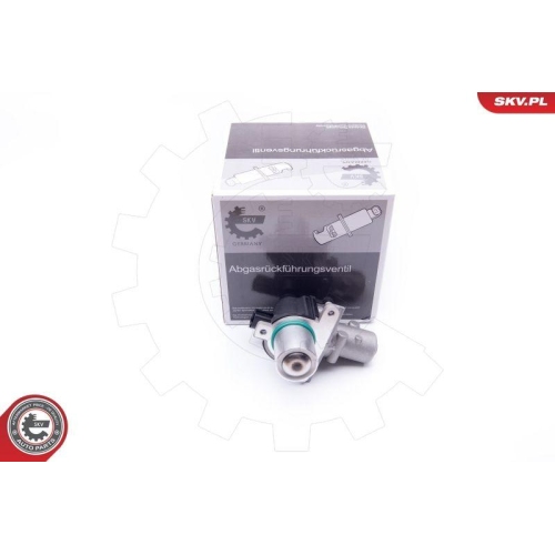 ESEN SKV AGR-Ventil 14SKV163