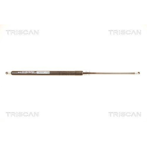 TRISCAN Gasfeder, Koffer-/Laderaum 8710 14234