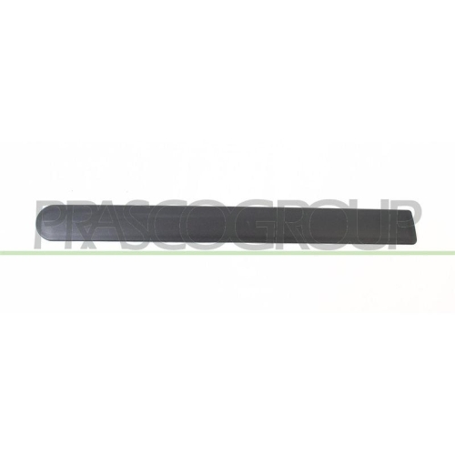 PRASCO Zier-/Schutzleiste, Kotfl&uuml;gel OP0301455