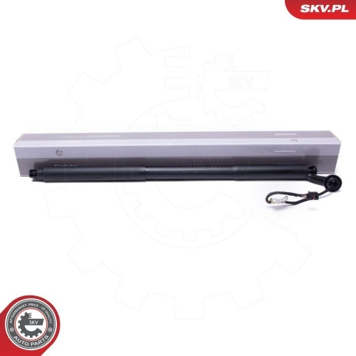 ESEN SKV Elektromotor, Heckklappe 52SKV969